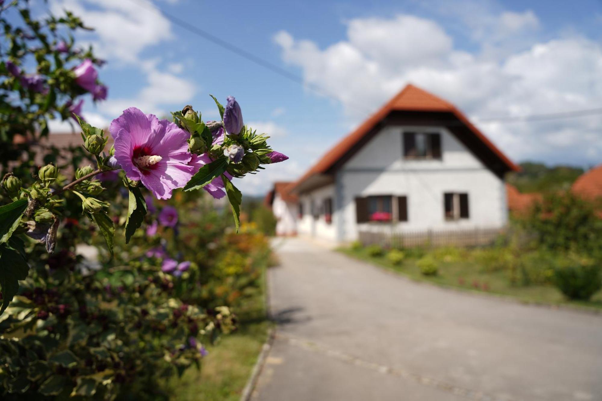 House Of Culture And Nature - Hisa Kulture In Nature Zagradec Exterior foto